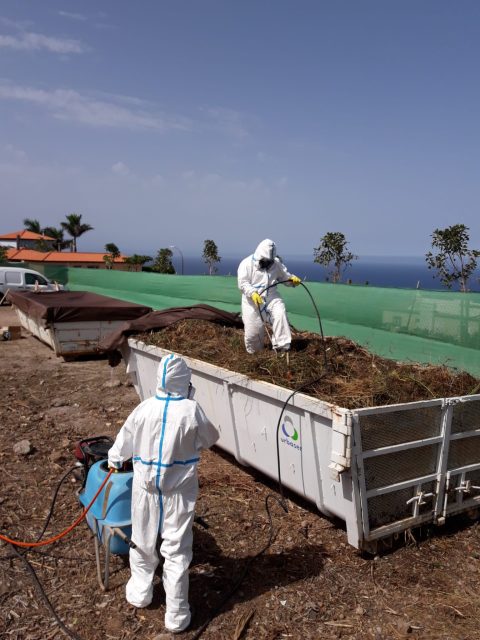Técnicos de Tragsatec aplicando el biocida sobre los residuos de madera infestados tras haber sido astillados